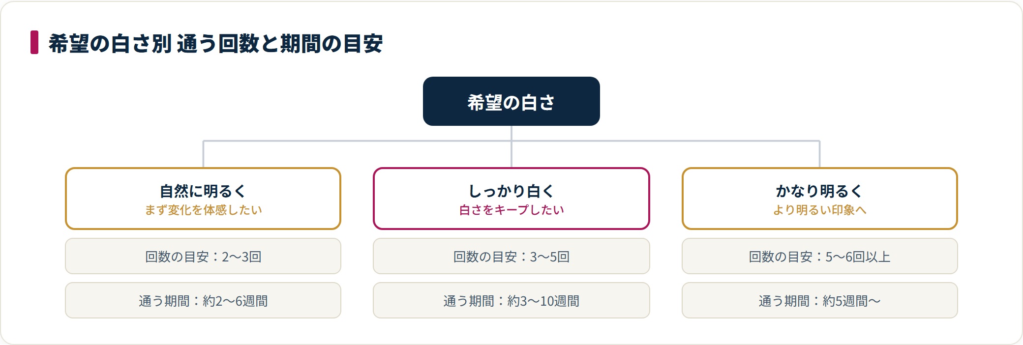 希望の白さ別に通う回数と期間の目安を示したツリー図。自然な白さは2〜3回、かなり明るくは5〜6回以上が目安。