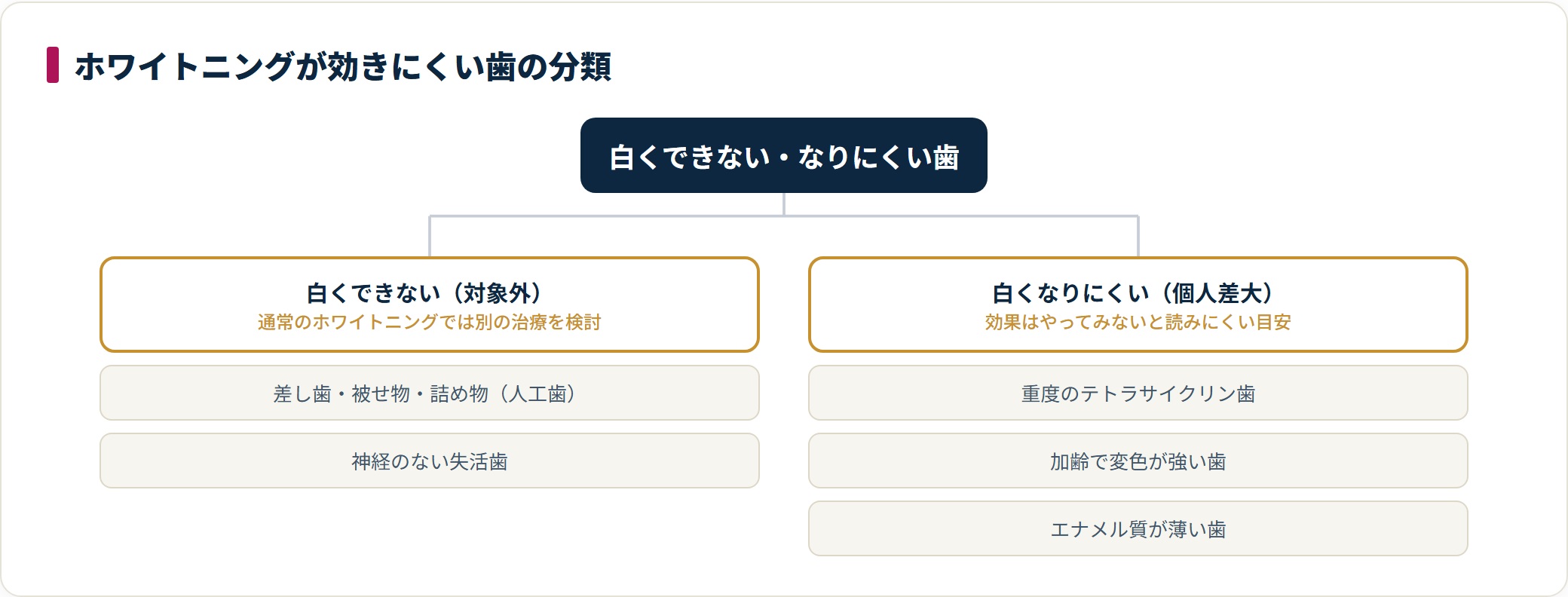 白くできない歯と白くなりにくい歯を2系統に分類した図。実際の適否は歯の状態により歯科医師の診断が必要です。